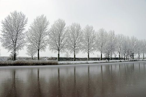 winterliche Baumgrenze am Wasser