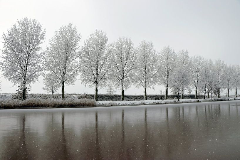 winter tree line on waterfront by Martin Albers Photography