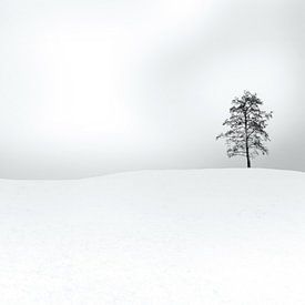 Alder tree in winter by Marijke van Loon