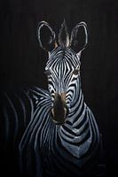 Zebra on dark background in oil
