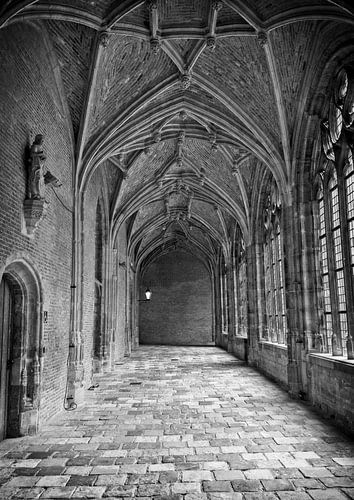 Monuments de la ville de Middelburg Noir et blanc