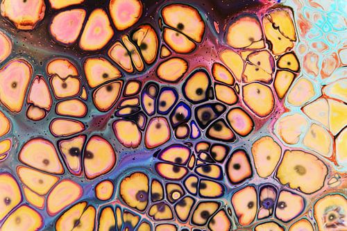 Leven onder de microscoop