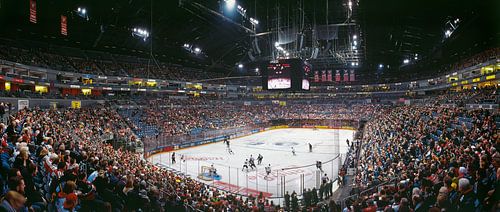 Köln Eishockey