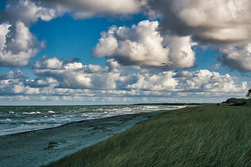 On the sandy beach of the Baltic Sea coast by Martin Köbsch