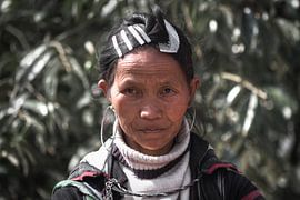 Regardez les cheveux