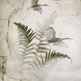 Fougères et Ibis. sur Alie Ekkelenkamp