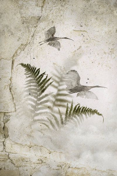 Ferns and Ibises. by Alie Ekkelenkamp