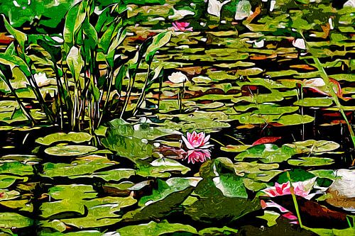 Water lilies