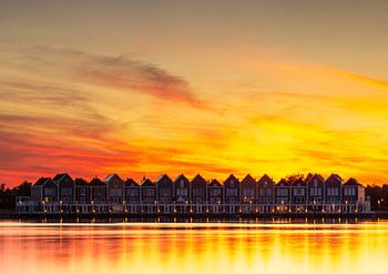 Kleurrijke huisjes aan de Rietplas in houten