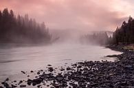 Lewis River, Yellowstone NP (USA) van Sjaak den Breeje thumbnail