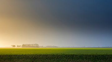 Die Kornkammer der Niederlande von Ton Drijfhamer