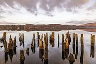 Kelly's Pier von Joy of Light Photography Miniaturansicht