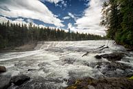 Wells Gray Dawson Falls van Vivo Fotografie thumbnail