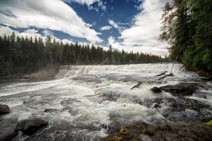 Wells Gray Dawson Falls
