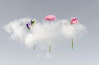 Cloud-Lift me Up by Hannie Kassenaar thumbnail