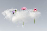 Cloud-Lift me Up