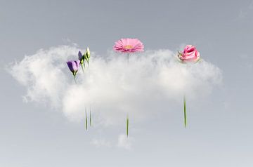 Cloud-Lift me Up by Hannie Kassenaar
