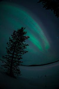 Noorderlicht in Finland van Andy Troy