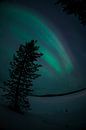 Noorderlicht in Finland van Andy Troy thumbnail