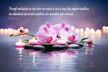 Positivity through meditation by Melanie Viola