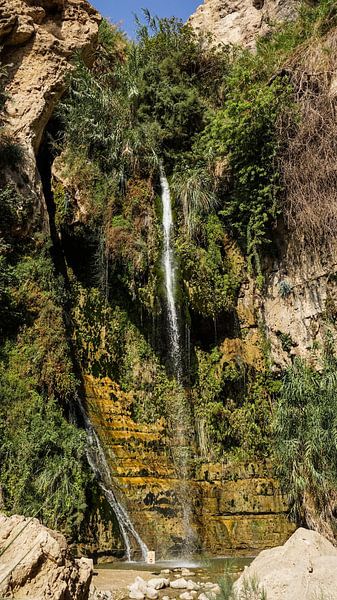 Ein Gedi-Wasserfall in Israel von Jessica Lokker