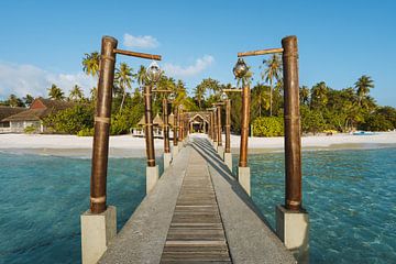 Tropisch eiland