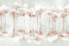 Photo abstraite d'un flamant rose's sur Anne-Marie Boere