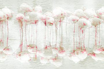 Abstracte foto van flamingo's van Anne-Marie Boere