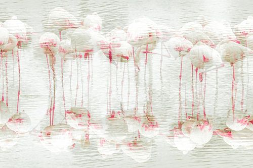 Abstracte foto van flamingo's van Anne-Marie Boere