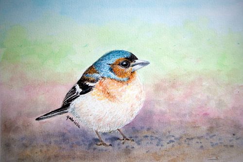 Vink vogel bruin en blauw