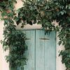 Blauwe luiken | reisfotografie print | Paros Griekenland van Kimberley Jekel