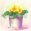 Frühlingsblumen im Topf von Karen Kaspar
