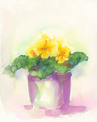 Fleurs de printemps en pot