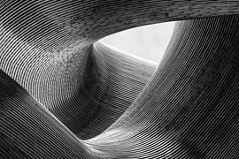 lines by Peter Pfeiffer