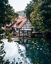 Blautopf, Blaubeuren, Duitsland van Marion Stoffels thumbnail