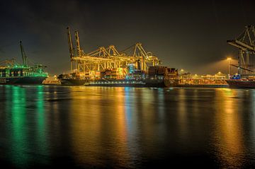 Containerschiff auf der Maasvlakte 2 von Leon Okkenburg