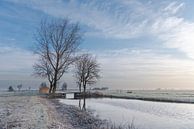 Winter in de Alblasserwaard:  vliet met bruggetje en bomenpartij van Beeldbank Alblasserwaard thumbnail