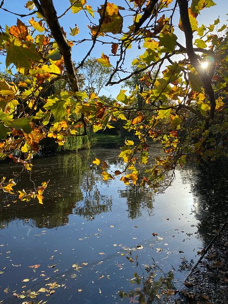 Vondelpark Amsterdam. Autumn 2022 by Marianna Pobedimova
