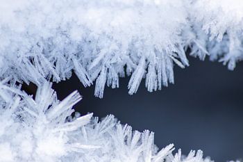 Schöne Eiskristalle im Wintersonnenschein