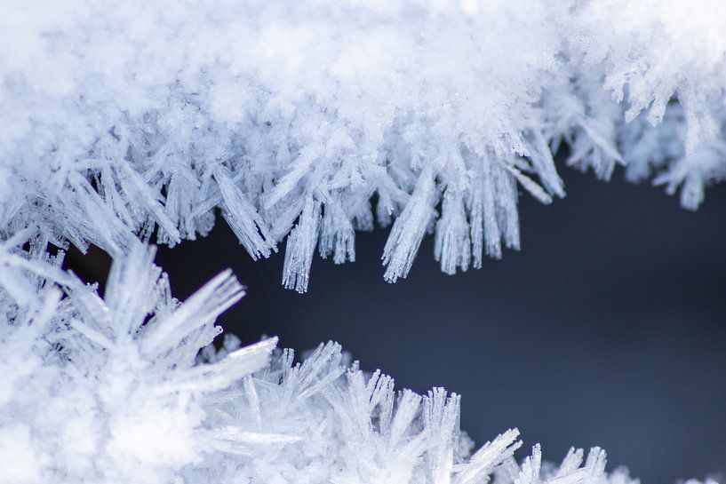 Beautiful ice crystals in the winter sunshine by Your Happy Life