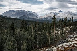 Norwegen | Blick auf die Berge von Rondane von Dylan Winter Visuals