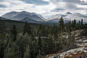 Norwegian autumn landscape – View of the Rondane mountains