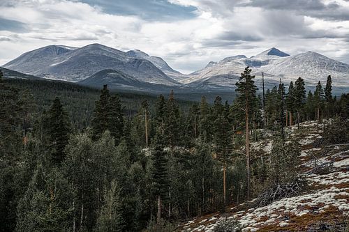 Paysage d'automne norvégien - Vue sur les montagnes de Rondane