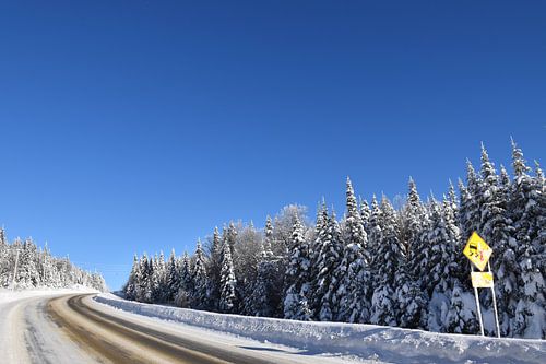 Eine Landstraße im Winter