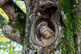 Balz Lord by Jürgen Wiesler