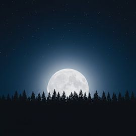 Mitternächtliche Ruhe: Vollmond über Waldsilhouetten von Artistic