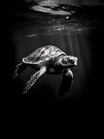 Schildkröte unter Wasser