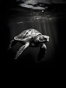 Tortue sous l'eau