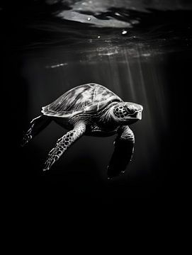 Schildpad onderwater van Moody Mindscape