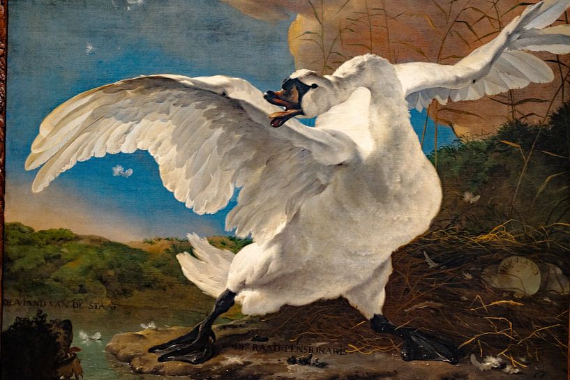 Der bedrohte Schwan Jan Caselijn von Truckpowerr